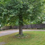 Villa-B1 Erwitte Gartenbereich